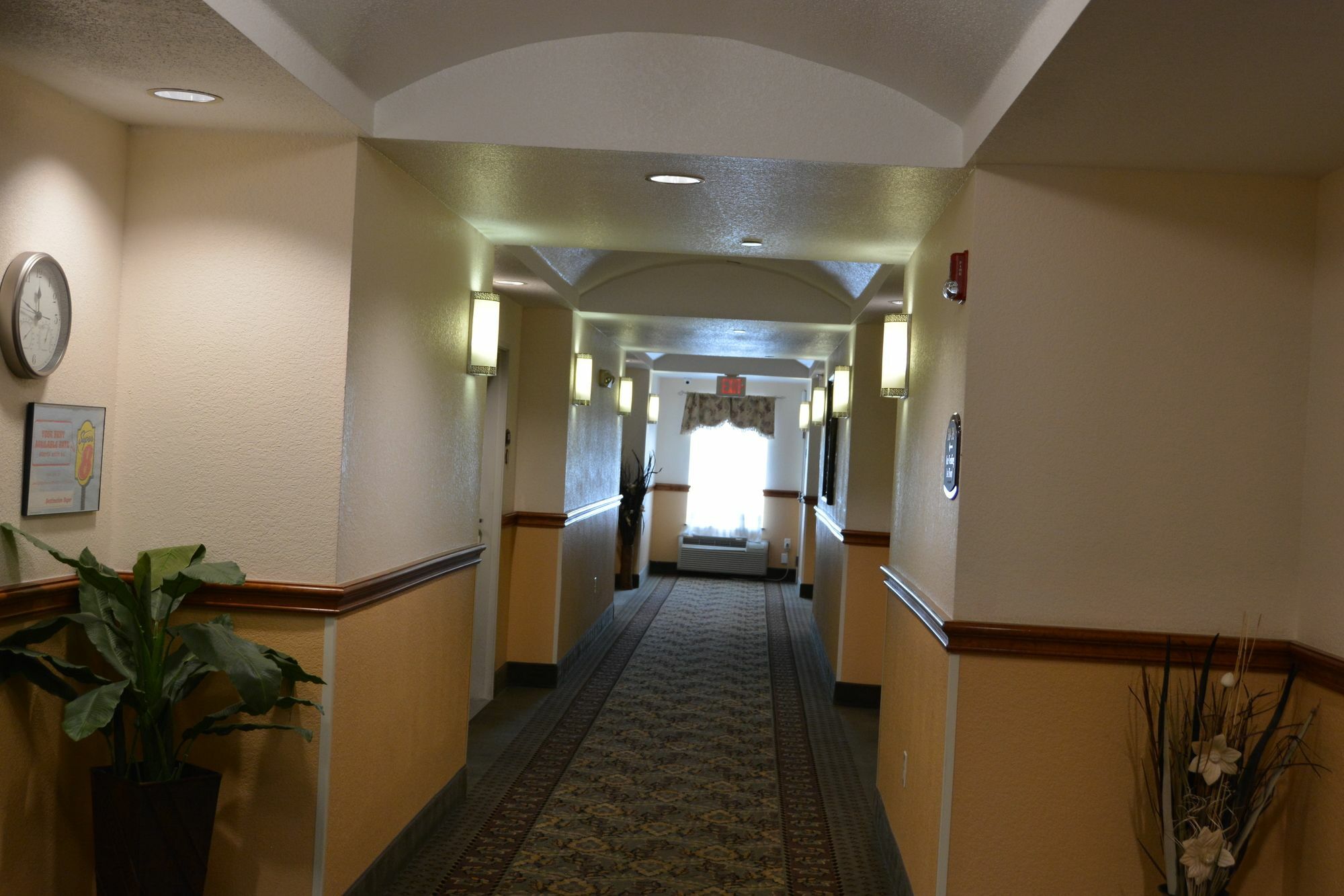 Hotel Super 8 By Wyndham Austin/Airport South Exterior foto