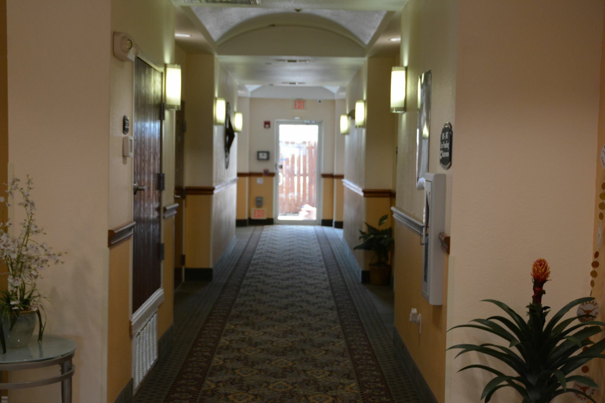 Hotel Super 8 By Wyndham Austin/Airport South Exterior foto